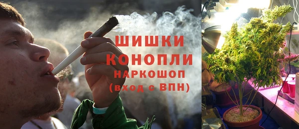 винт Армянск
