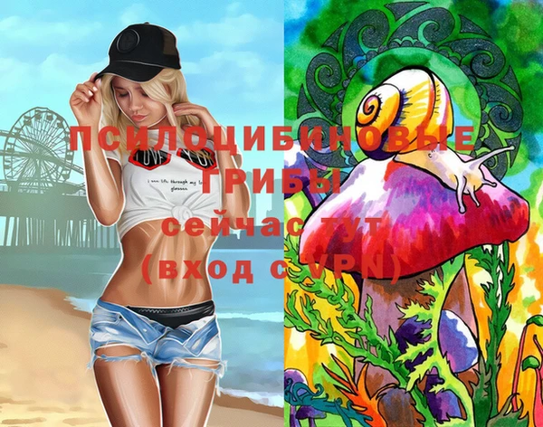 бутират Арсеньев